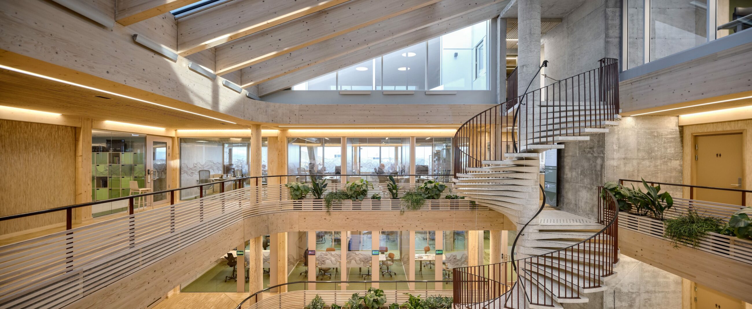 Interior photo of the Innoasis timber office transformation, showing the wooden structure, atrium and skylight.